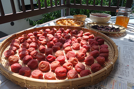 f0097523_14173077.jpg