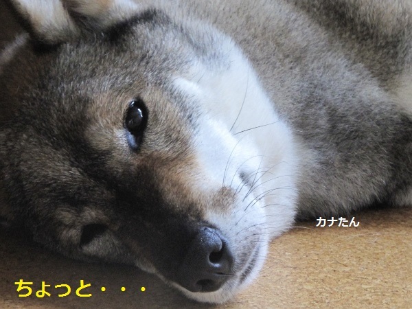 f0143123_10161453.jpg