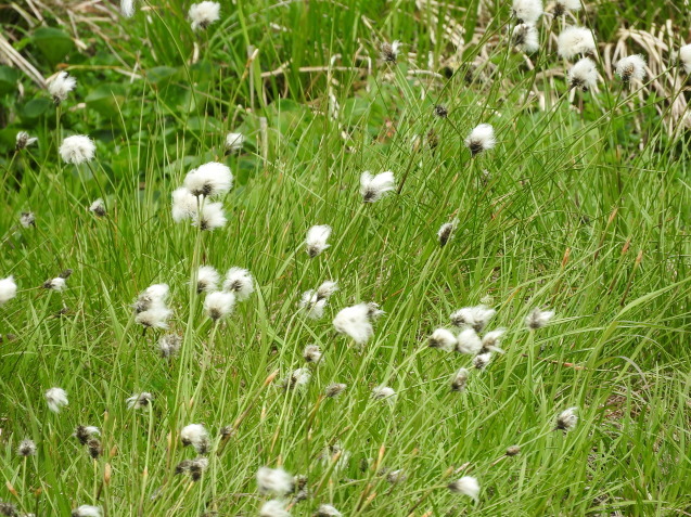f0118332_13282463.jpg