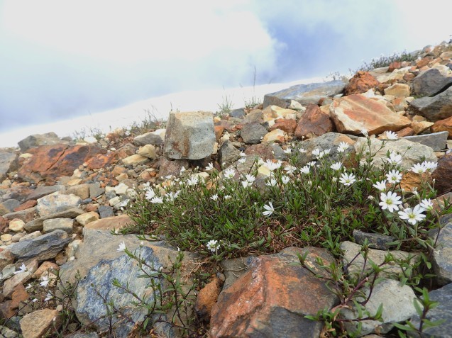 f0118332_13393321.jpg