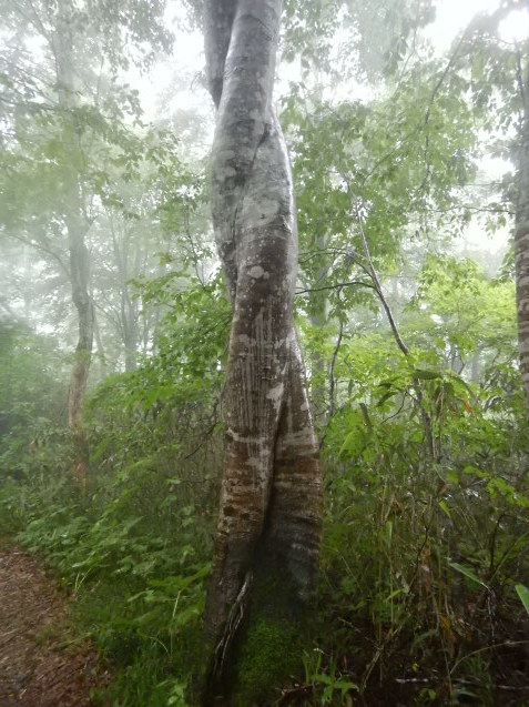 f0118332_13471172.jpg