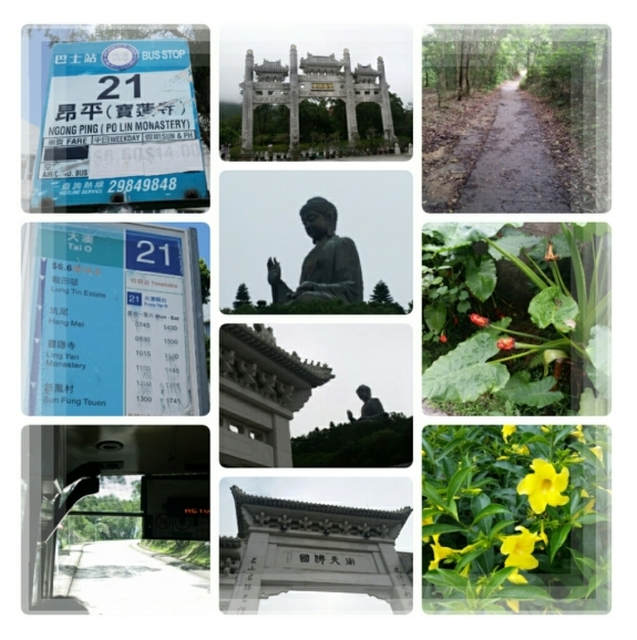 d0219834_12152349.jpg