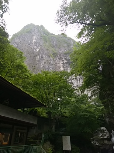d0107938_10523460.jpg