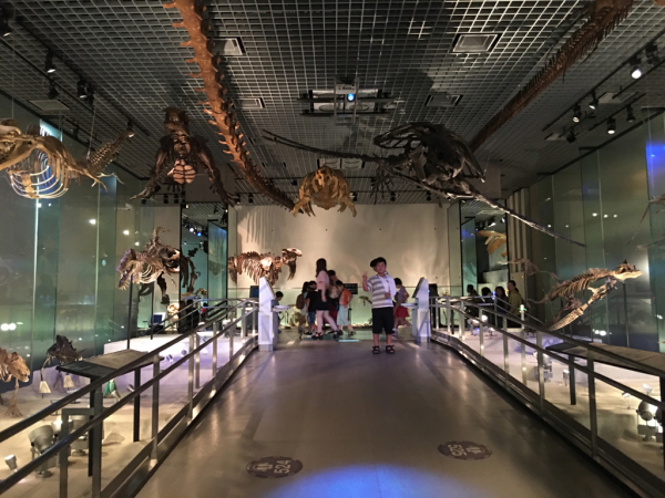 c0024541_16343718.jpg