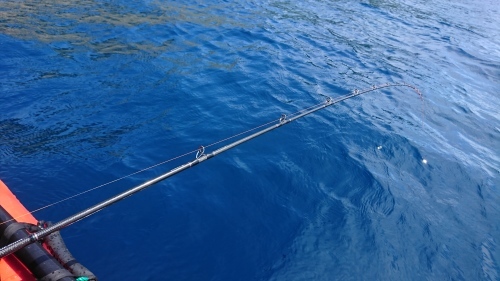 f0351348_20104781.jpg