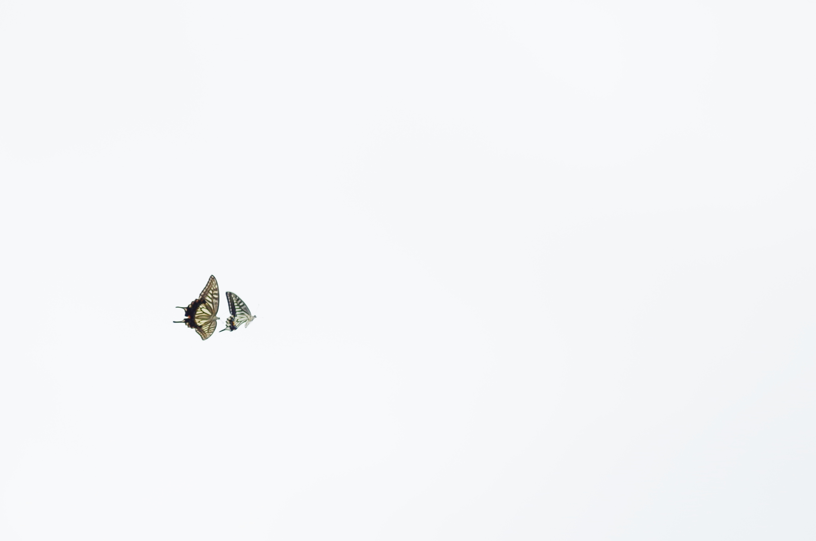 a0299749_23145190.jpg