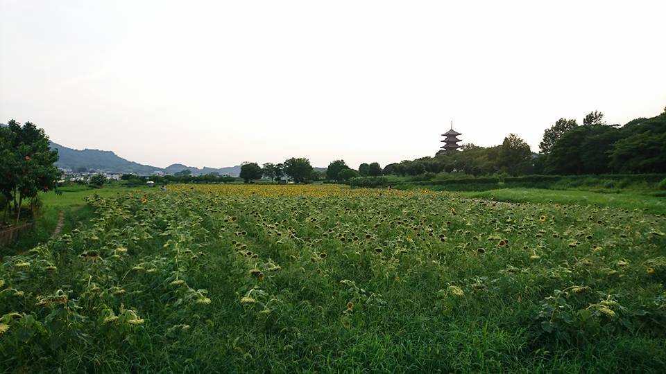 f0037753_00015910.jpg