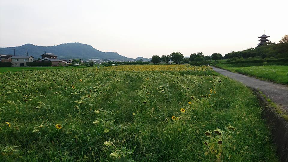 f0037753_00021748.jpg