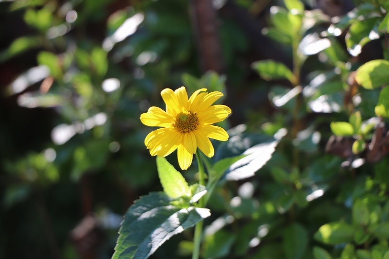 b0250154_20121068.jpg