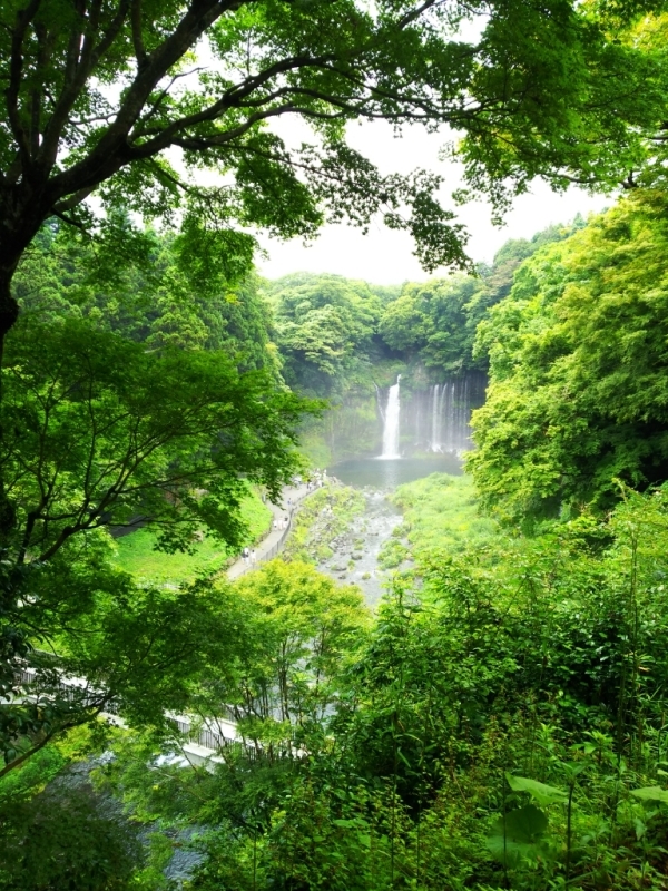 b0021865_08185081.jpg