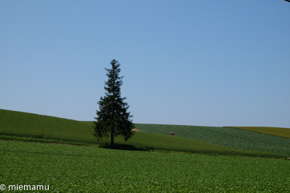 d0340565_20240883.jpg
