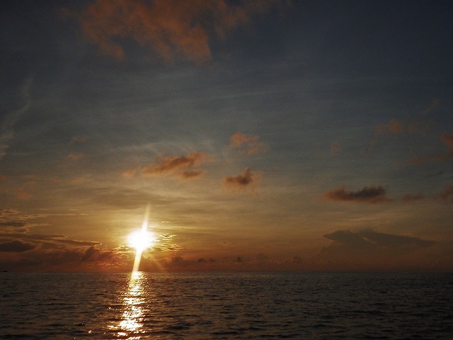 c0367066_14314425.jpg
