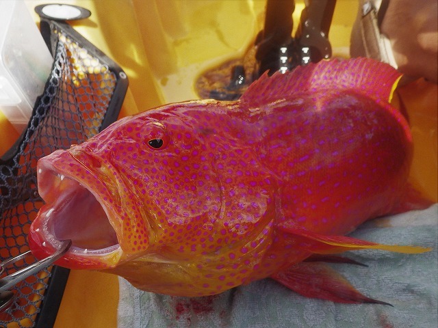 c0367066_14323959.jpg