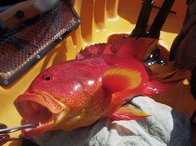 c0367066_14331343.jpg