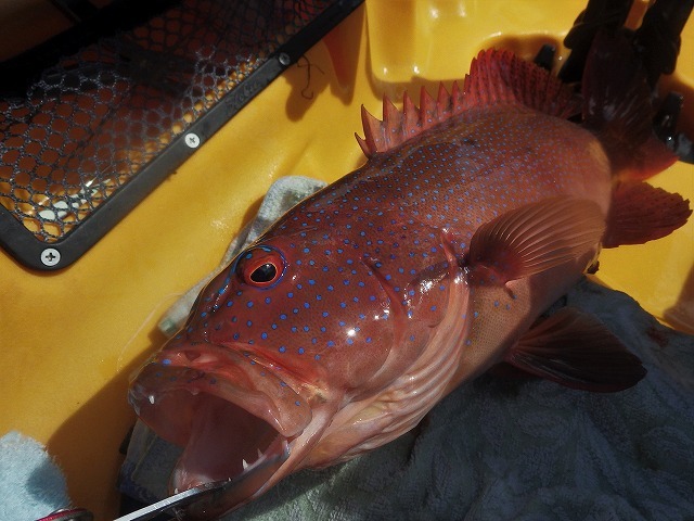 c0367066_14332270.jpg
