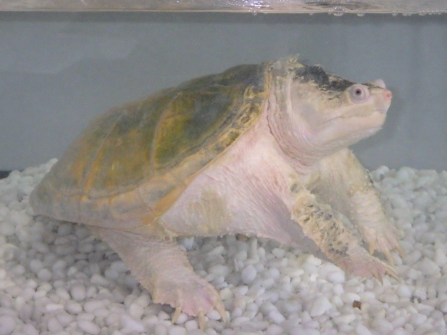 c0105569_00444843.jpg