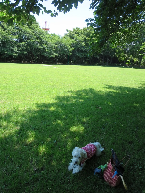 d0264176_2016730.jpg