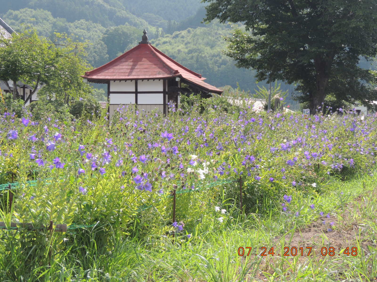 f0104277_19525498.jpg