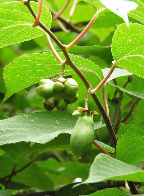 f0378979_21552831.jpg