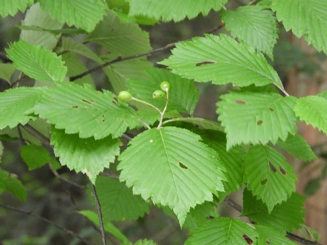 f0378979_21561456.jpg