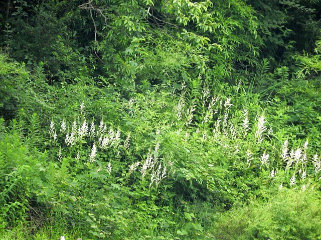 f0378979_21574813.jpg