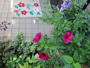 a0053480_05262661.jpg