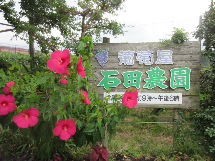 d0230486_21272731.jpg