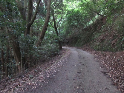 e0048994_13382751.jpg