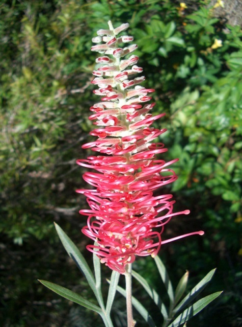 f0346196_09511672.jpg