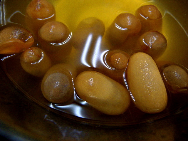 a0199297_10482557.jpg