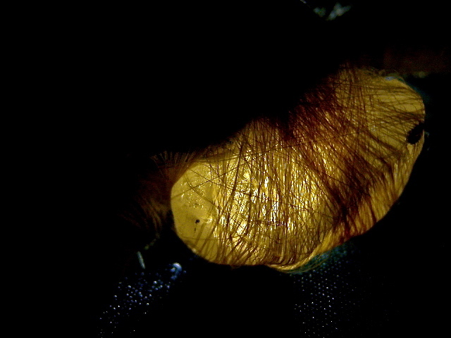 a0199297_11141713.jpg