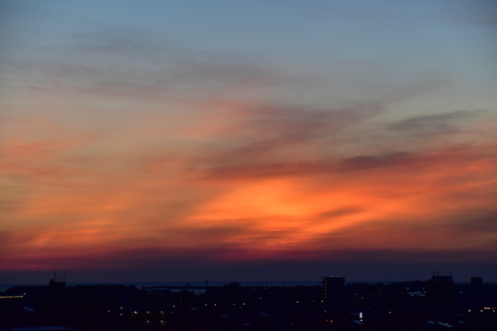 c0049299_22523774.jpg