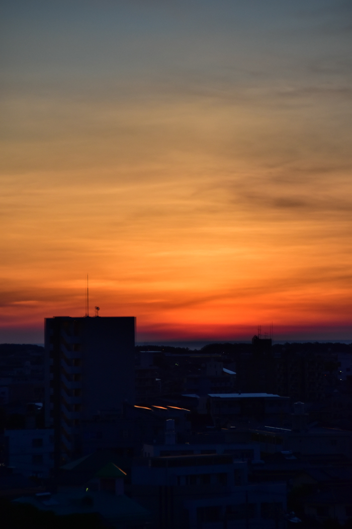 c0049299_22533927.jpg