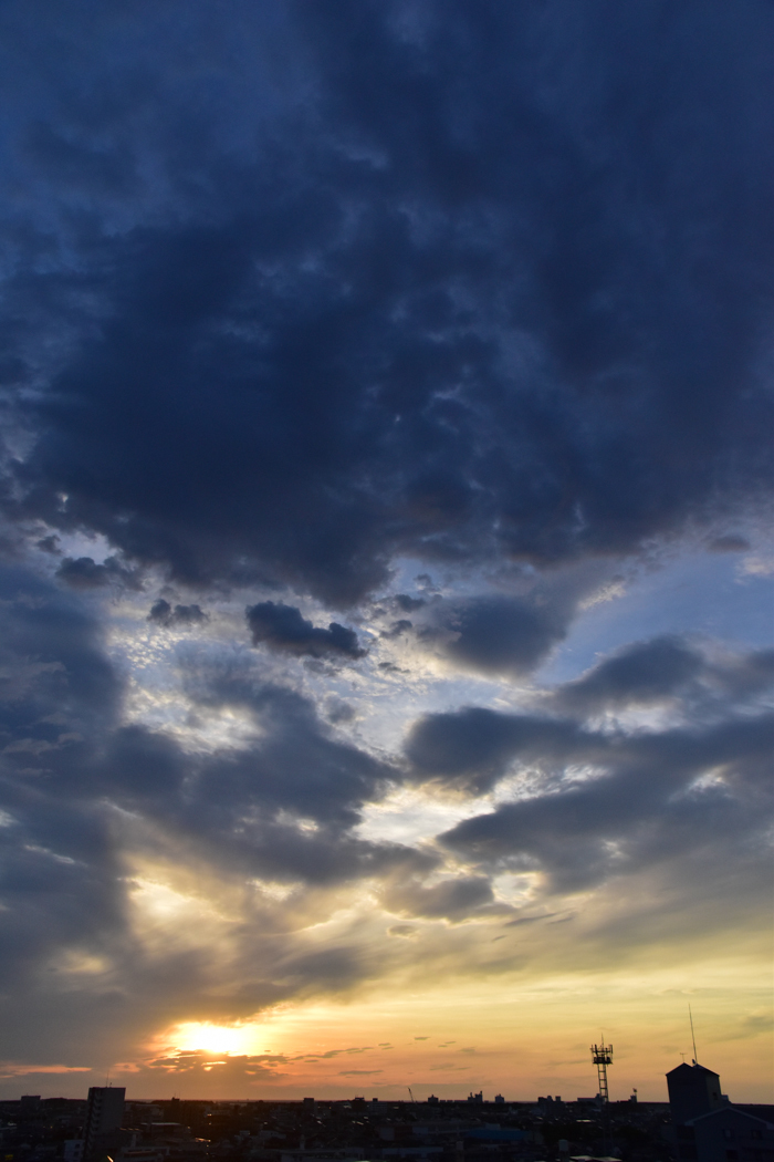 c0049299_23043948.jpg