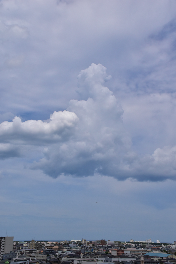 c0049299_23121787.jpg
