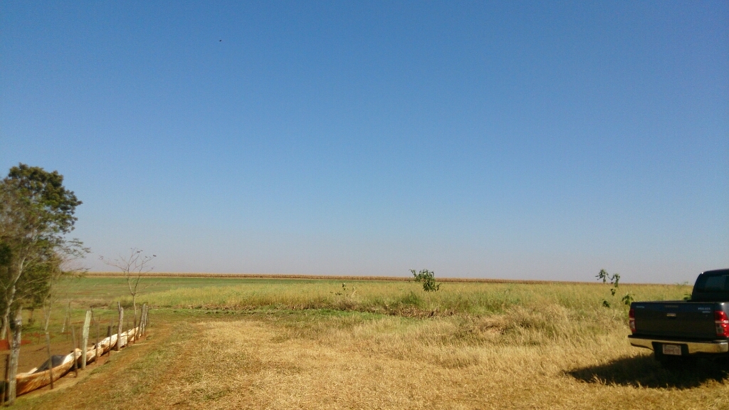 f0225800_06073841.jpg
