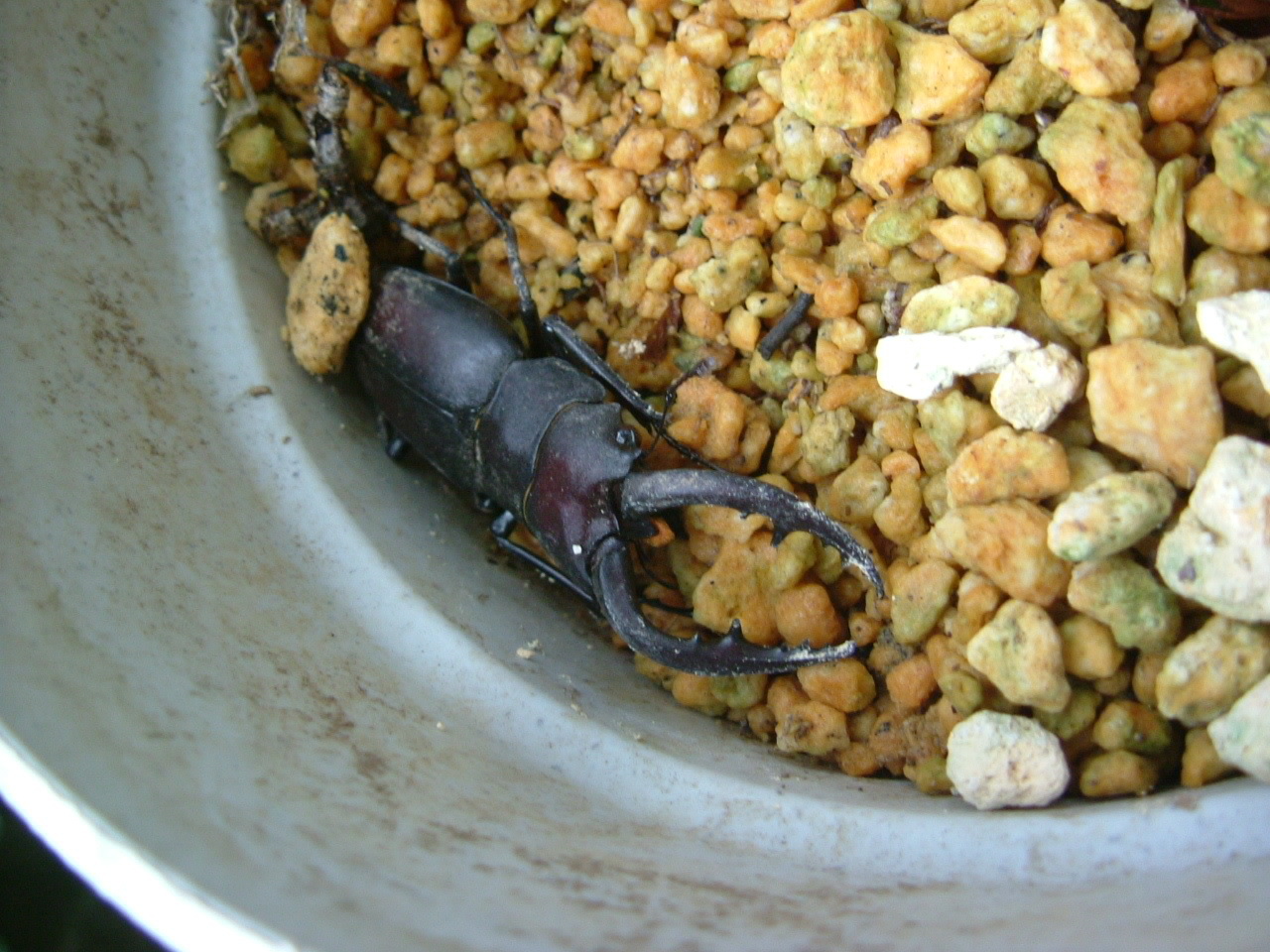 e0365803_12001636.jpg