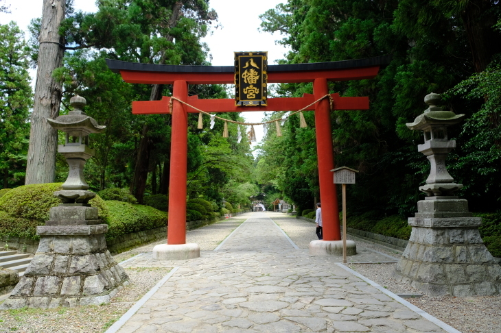 e0000910_10013247.jpg