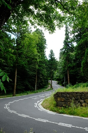 e0000910_10053866.jpg