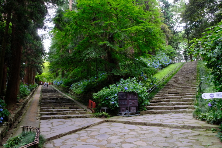 e0000910_10202744.jpg
