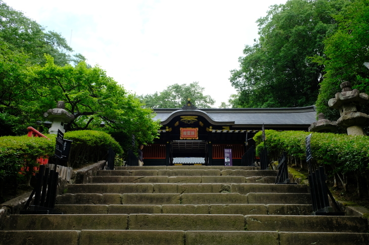 e0000910_10284956.jpg