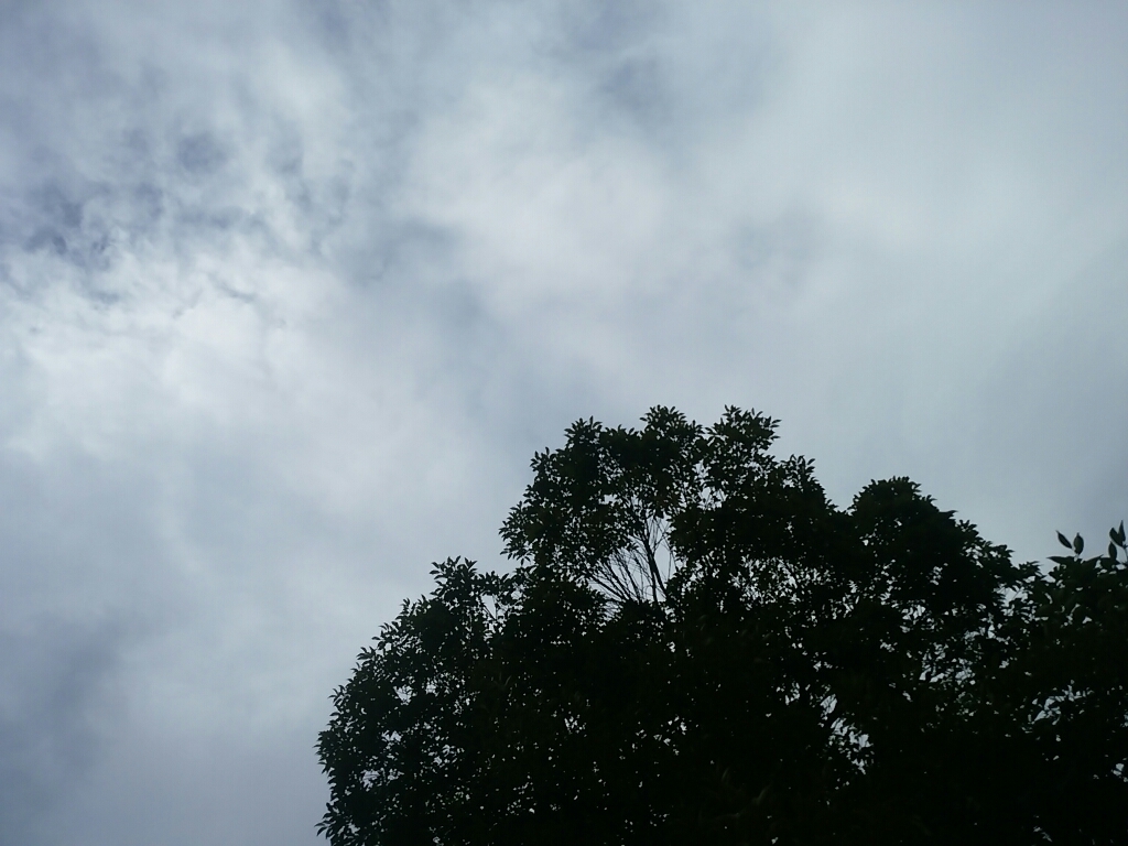 f0360115_13144137.jpg