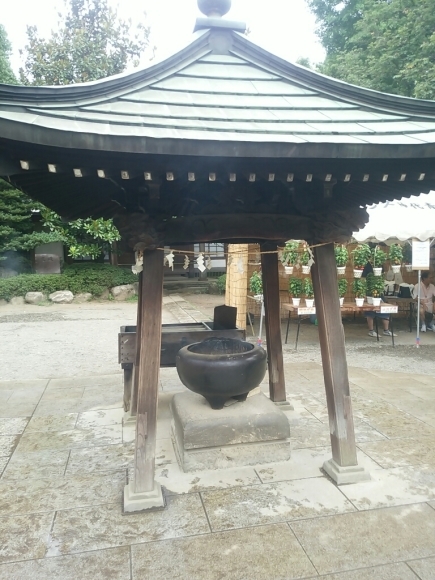 f0360115_13144378.jpg