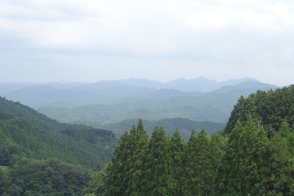 f0000521_04125077.jpg