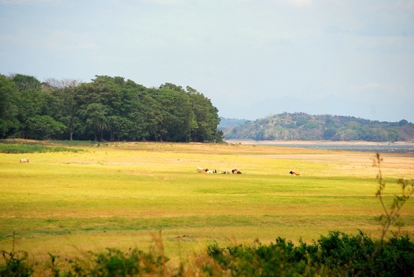 c0067529_16512445.jpg