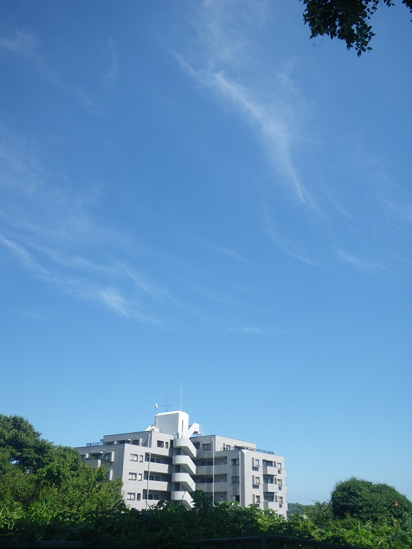 c0033636_0112980.jpg