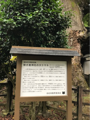 f0236736_08431857.jpg