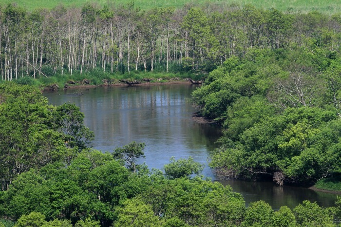 c0155950_01155448.jpg