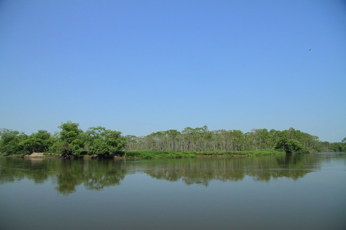 c0155950_01180402.jpg