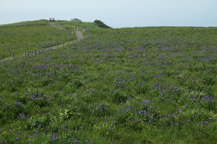 c0155950_06410763.jpg